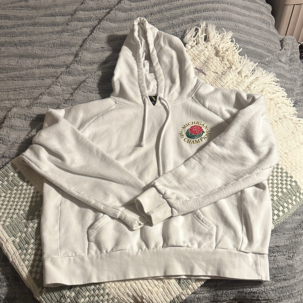 Men’s Michigan hoodie